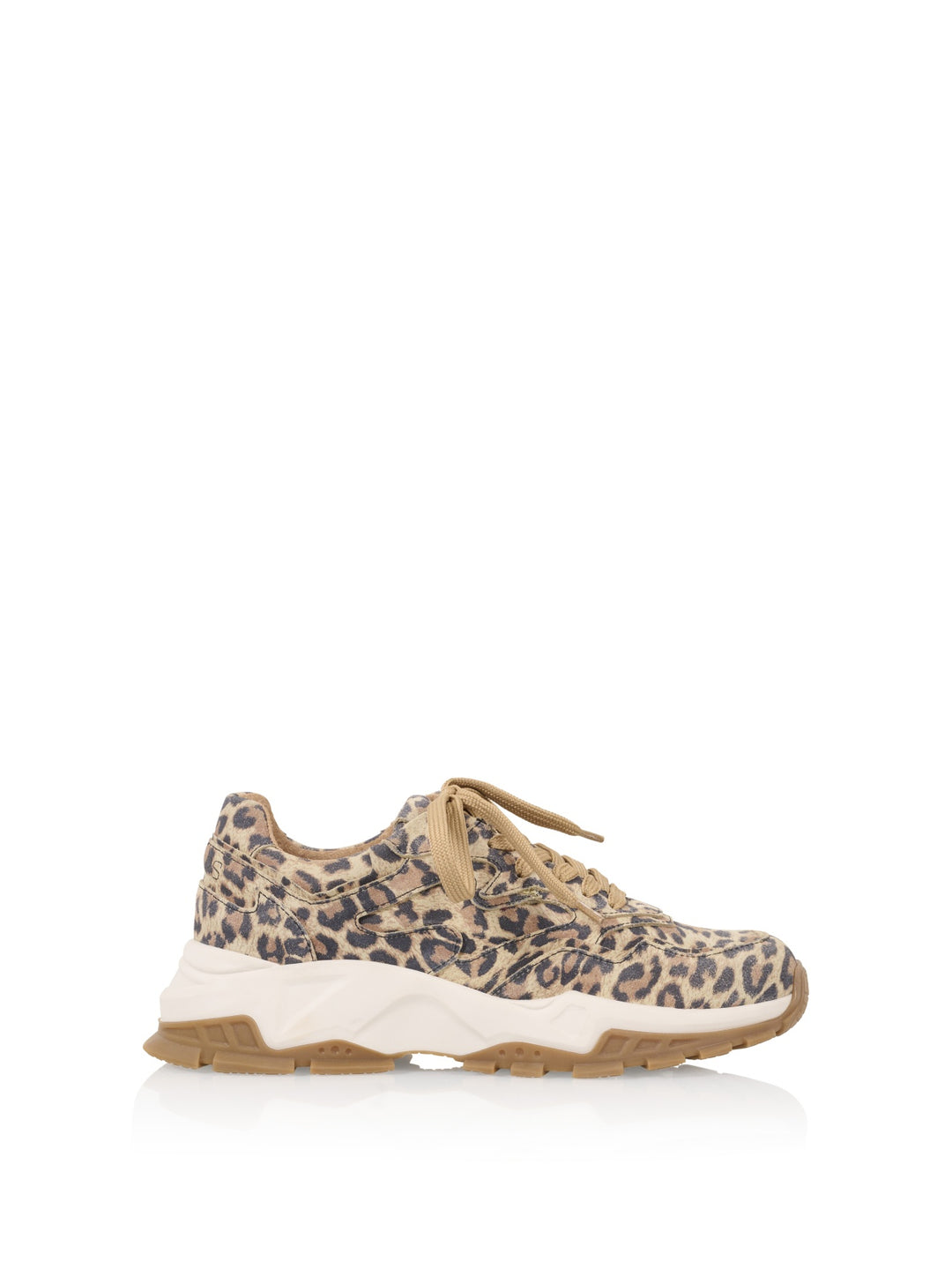 CHESTER leopard
