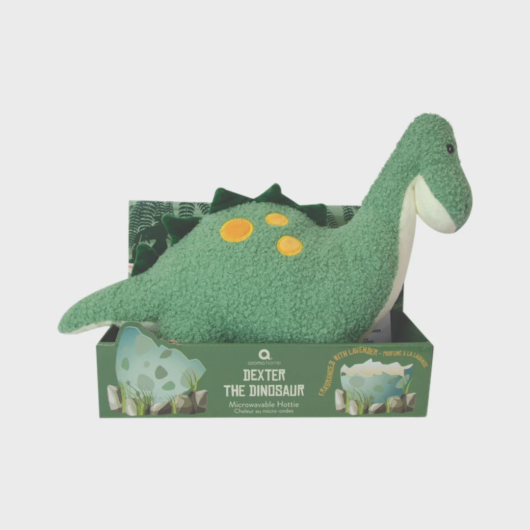 Aroma Home Dexter The Dinosaur Snuggable Hottie
