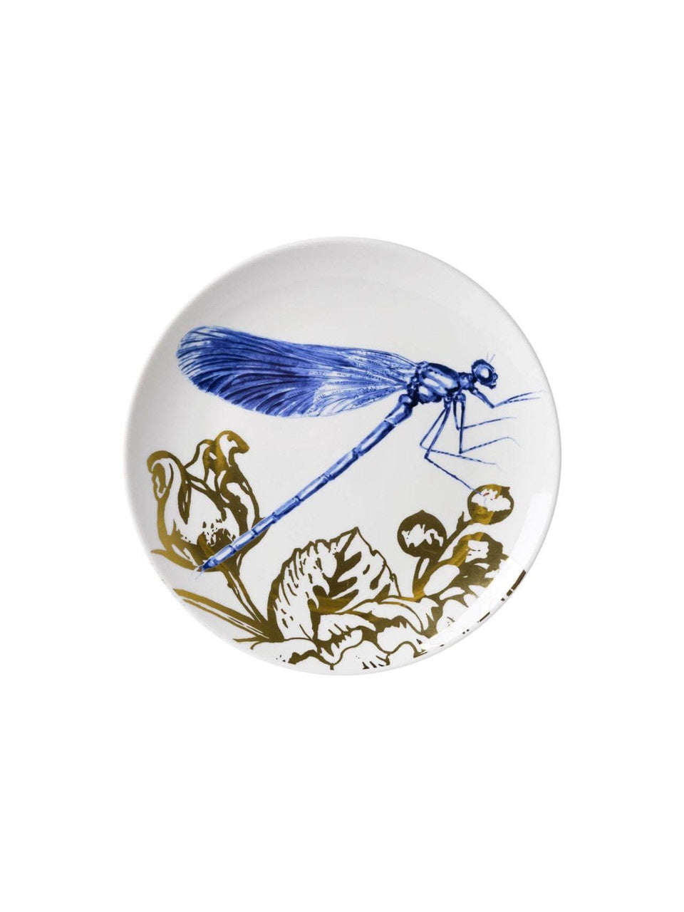 Wandbord Insecten libelle